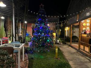 a christmas tree in the middle of a yard at Tropical Garden Phu Quoc in Phú Quốc