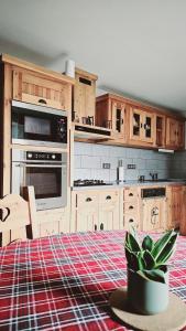 a kitchen with wooden cabinets and a potted plant at Le Banc Des Seilles in Bonvillard