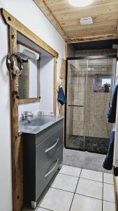 a bathroom with a sink and a shower at Le Banc Des Seilles in Bonvillard