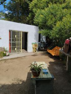 a white building with a potted plant on a table at Casa Roma 3 Parque a 3 del solis in Parque del Plata