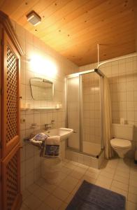 a bathroom with a shower and a toilet and a sink at Ferienwohnungen Haus Schwaiger in Fieberbrunn