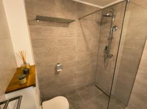 a shower with a glass door in a bathroom at Eleonora Residence in Bicfălău