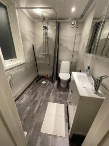 a bathroom with a toilet and a sink at Solbergs, fint attefallshus i Vik, Åre in Åre