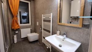 ein Badezimmer mit einem Waschbecken, einem WC und einem Spiegel in der Unterkunft Apartmány Marek a Michal in Dolní Morava