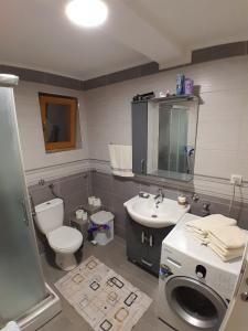 ein Badezimmer mit Toilette, Waschbecken und Waschmaschine in der Unterkunft Inalux Apartmani Pale in Gornje Pale