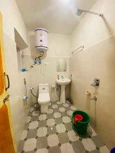 a bathroom with a toilet and a sink at THE GULMARG PALACE in Gulmarg