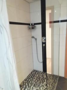 een douche met een glazen deur in de badkamer bij Greenhouse in Baiersbronn