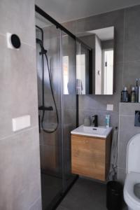 La salle de bains est pourvue d'une douche et d'un lavabo. dans l'établissement Stormvloed, à Renesse