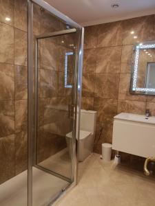 W łazience znajduje się prysznic, toaleta i umywalka. w obiekcie Appartement golf Mogador w mieście As-Suwajra