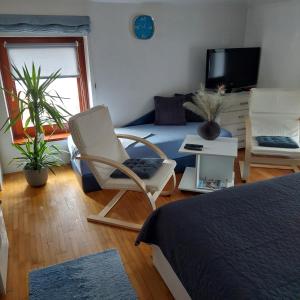 a bedroom with a bed and a chair and a tv at Apartments Bikica in Vrnjačka Banja
