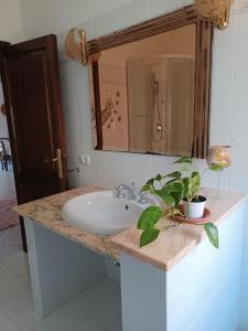 Un lavabo de baño con un espejo y una planta en maceta. en Appartamento per vacanza, en Castelsardo 16 fotos más