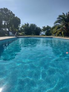 une grande piscine d'eau bleue dans l'établissement Quinta de Moçamedes - Turismo de Habitação, à Vouzela
