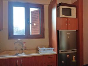 uma cozinha com um frigorífico, um micro-ondas e uma janela em View suites em Arachova