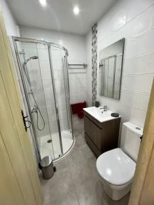 a bathroom with a shower and a toilet and a sink at Casa Porta Velha 2 Bed in Tavira