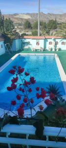 a blue swimming pool with a red flower in the foreground at Finca amor y sueño isa in Rafal