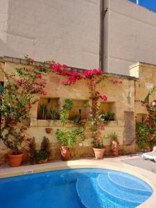 ein Pool mit Pflanzen und Blumen an der Wand in der Unterkunft bedroom buddha external bathroom in Kerċem