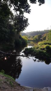 a view of a river with trees in the background at Zakeliškių vandens malūno stovyklavietė in Zakeliškiai