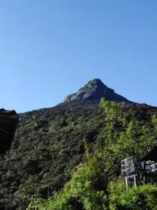 a mountain covered in trees with a blue sky at The Peak Residence in Adams Peak