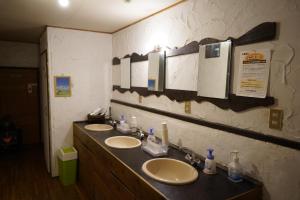 La salle de bains est pourvue de 2 lavabos et de 2 miroirs. dans l'établissement 白馬シェア 落倉店 Hakuba share-Ochikura, à Yotsuya