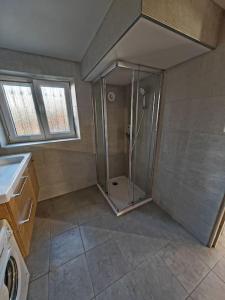ein großes Bad mit einer Dusche und einem Waschbecken in der Unterkunft Appartement au sein d'une maison in Issenheim