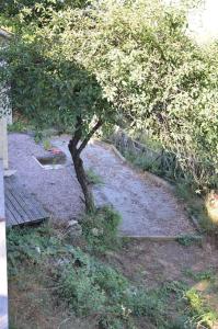 Ein Baum im Dreck neben einem Gebäude in der Unterkunft Chalet, calme, absolu, superbe vue, et piscine (en été) in Ventenac-Cabardès