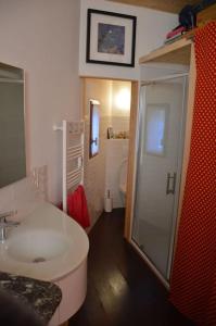 ein Bad mit einem WC, einem Waschbecken und einer Dusche in der Unterkunft Chalet, calme, absolu, superbe vue, et piscine (en été) in Ventenac-Cabardès