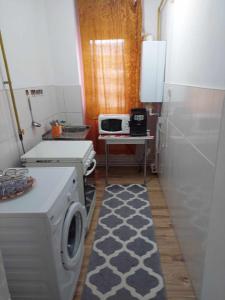 a small kitchen with a washing machine and a rug at Lily Ap in Lupeni