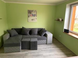 a living room with a gray couch in a green wall at Dom w górach z bilardem in Juszczyna
