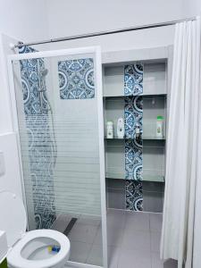 ein Bad mit einer Dusche und einem WC. in der Unterkunft Cosy appartement près du centre in Brüssel