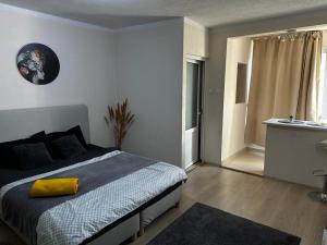 a bedroom with a bed and a bathroom with a sink at REEAS APARTAMENT in Timişoara