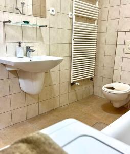 uma casa de banho com um lavatório e um WC em Zen Apartman em Budakalász