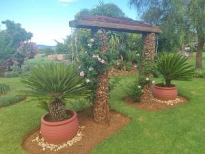 einen Garten mit zwei Topfpflanzen und einer Pergola in der Unterkunft Big Boma Guest House in Lydenburg