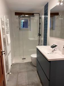 a bathroom with a shower and a toilet and a sink at Magdalenea - Apartamento in Lesaka