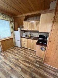 Kuchyň nebo kuchyňský kout v ubytování Apartament Busia