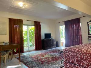 シエラ・デ・ロス・パードレスにあるValle Dorado Sierra de los Padresのベッドと机と窓のある寝室