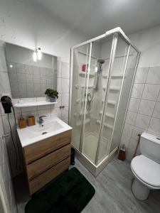 La salle de bains est pourvue d'une douche, d'un lavabo et de toilettes. dans l'établissement Appartement sur les hauteurs de Gérardmer, à Gérardmer