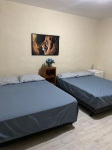 ein Schlafzimmer mit 2 Betten und einem Bild eines Löwen in der Unterkunft Recanto do Peixe Dourado in Casimiro de Abreu