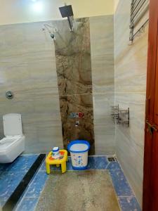 a bathroom with a toilet and a childs toy in it at Little Dream Homestay Hampi in Hampi