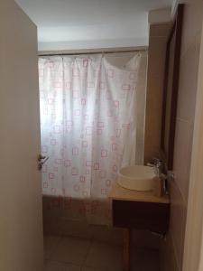 y baño con cortina de ducha y lavamanos. en ABASTO EL SOLAR PREMIUM en Buenos Aires