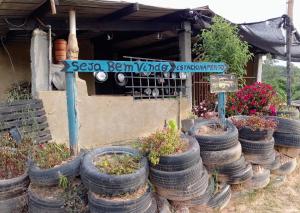 a group of old tires are stacked around plants at Chácara Chiafarelli in São Roque