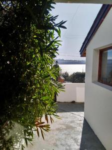 a green bush next to a building with a view of the water at Miralago I in San Carlos de Bariloche