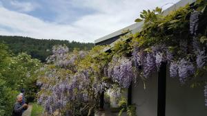 FischbachtalにあるIdyllische Wohnung mitten in der Natur „ Haus Magnolia „の紫藤の建物の隣に立つ男