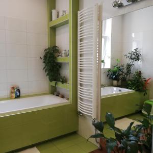 Botaniczny Pokój في كراكوف: حمام مع حوض استحمام وحوض استحمام
