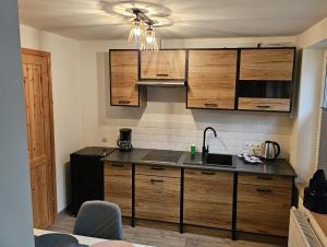 una cocina con armarios de madera y fregadero en Apartamenty "Hubertówka", 