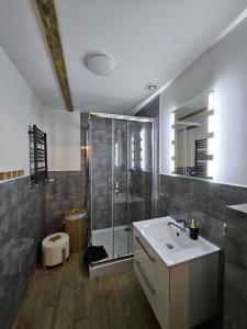 a bathroom with a shower and a white sink at Apartamenty "Hubertówka" 