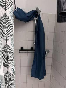 - un parasol bleu sur un rideau de douche dans la salle de bains dans l'établissement Ferienhaus am Poggensee, à Bad Oldesloe