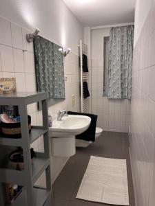 La salle de bains est pourvue d'un lavabo, de toilettes et d'un miroir. dans l'établissement Ferienhaus am Poggensee, à Bad Oldesloe