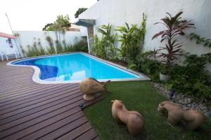 a backyard with a swimming pool and some toy animals at Pousada dos Quatro Cantos in Olinda