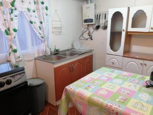 eine kleine Küche mit einem Waschbecken und einem Tisch in der Unterkunft Refugio de Tranquilidad: Cabaña de 2 Dormitorios con WiFi y Estacionamiento Privado en Río Bueno in Río Bueno