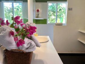 圣安德烈斯Casa de las Flores tropical的相册照片
